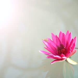 Umwandlung der 5 negativen Emotionen