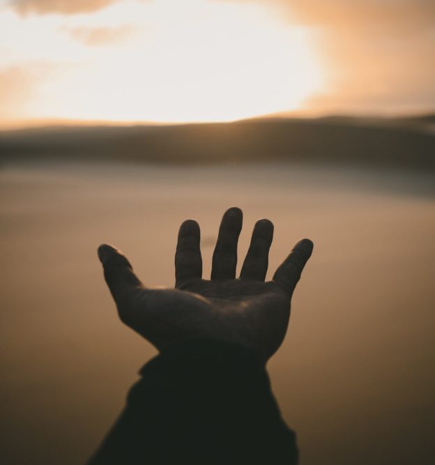 Mitgefühl entfalten und leben