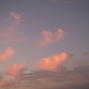 Distinguishing Consciousness and Wisdom