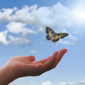 Meditation for beginners: Shamatha & Vipashyana