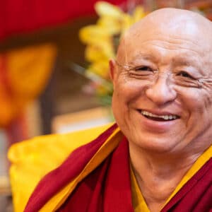 Schmerz – Liebe – Offene Weite: The Buddhist Path of Joy