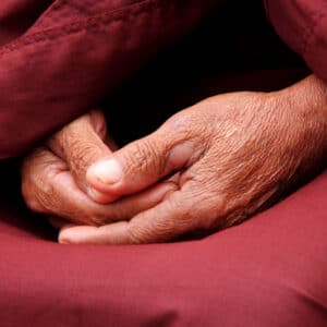 Spende für Einführung in den Buddhismus aus westlicher Perspektive