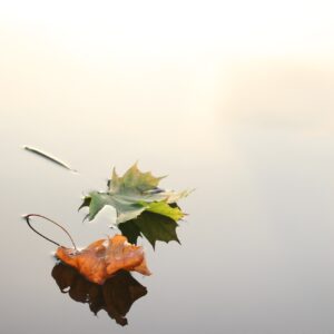 No Fear of Dying, Death and Parting - The World from the Perspective of Buddha Amitabha