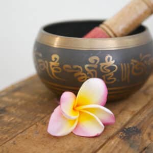 Chronic diseases from the perspective of Tibetan medicine