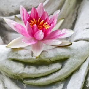 Die Essenz des Buddhismus – Modul 2