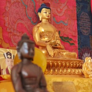 Innere Stabilität finden durch die “Vier Gedanken, die den Geist dem Dharma zuwenden”