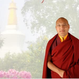 Spende für Geburtstagsgebete zu Ehren S.H. dem XVII. Karmapa Ogyen Trinley Dorje 2025